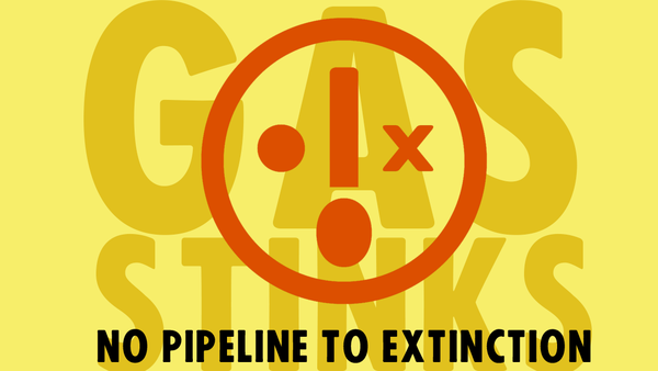 No pipeline to extinction