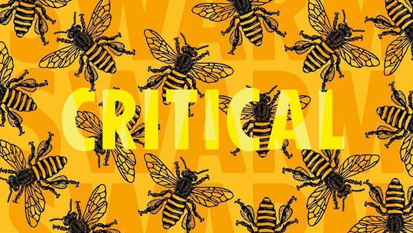 Critical bee swarm