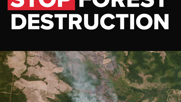 BLK_ Stop Deforestation - for Facebook and IG.png
