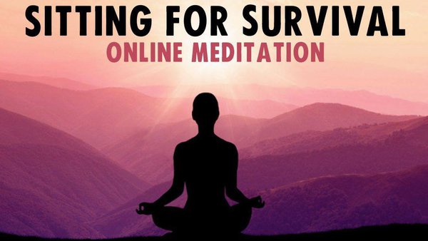 Sitting for Survival   Online Meditation